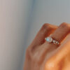 Anillo Livorno